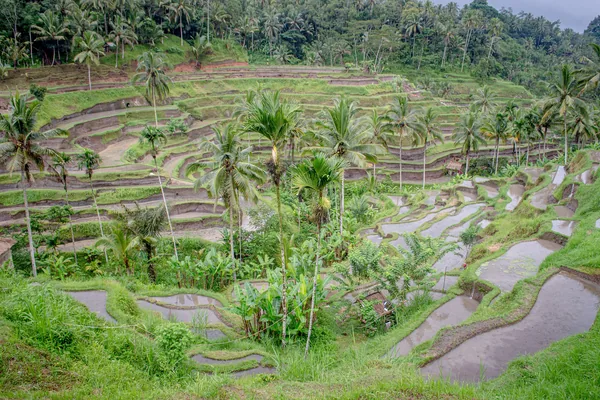 Hotel a Bali