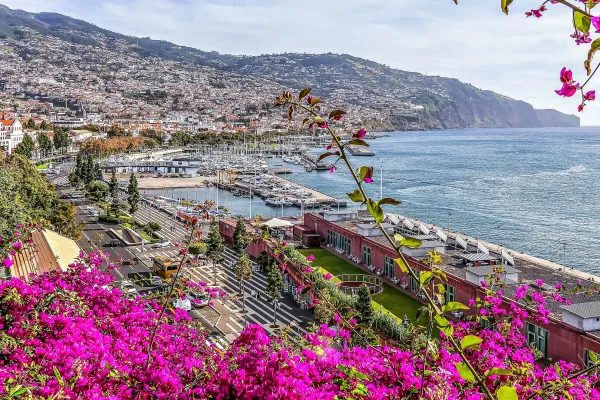Hotels in Hotel a Funchal